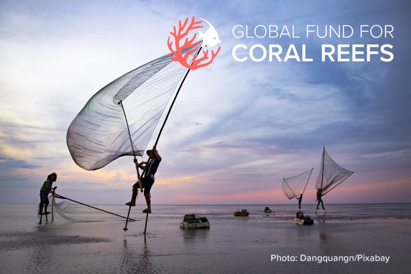 Global Fund For Coral Reefs Approves First Round Of Programming | MPTF ...